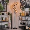 Gastor Floor Lamp - glass 15 cm Amber, 6-light sources