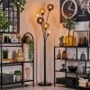 Gastor Floor Lamp - glass 15 cm Amber, clear, Smoke-coloured, 6-light sources