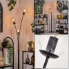 Gastor Floor Lamp - glass 15 cm clear, 3-light sources