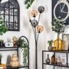 Gastor Floor Lamp - glass 15 cm Amber, clear, Smoke-coloured, 5-light sources