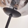 Gastor Floor Lamp - glass 15 cm Amber, clear, Smoke-coloured, 5-light sources