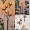 Gastor Floor Lamp - glass 15 cm Amber, clear, Smoke-coloured, 5-light sources