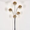 Koyoto Floor Lamp - glass 15 cm gold, clear, 5-light sources
