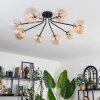 Chehalis Ceiling Light - glass 12 cm, 15 cm gold, black, 8-light sources