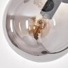 Gastor Floor Lamp - glass 15 cm Smoke-coloured, 5-light sources