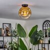 Ripoll Ceiling Light - glass 25 cm gold, clear, 1-light source