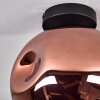 Ripoll Ceiling Light - glass 25 cm coppery, 1-light source
