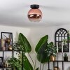 Koyoto Ceiling Light - glass 20 cm clear, coppery, 1-light source