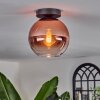 Koyoto Ceiling Light - glass 20 cm clear, coppery, 1-light source