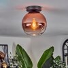 Koyoto Ceiling Light - glass 20 cm clear, coppery, 1-light source