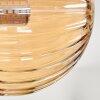 Chehalis Ceiling Light - glass 10 cm, 12cm, 15cm Amber, Smoke-coloured, 8-light sources