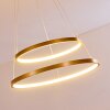 Canisteo Pendant Light LED gold, 2-light sources