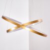Canisteo Pendant Light LED gold, 2-light sources