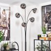 Gastor Floor Lamp - glass 15 cm clear, Smoke-coloured, 5-light sources