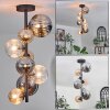 Chehalis Ceiling Light - glass 10 cm, 12cm, 15cm Amber, clear, Smoke-coloured, 8-light sources