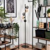 Remaisnil Floor Lamp - glass 12 cm black, 5-light sources