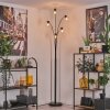 Gastor Floor Lamp - glass 15 cm clear, 5-light sources