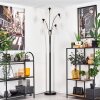 Gastor Floor Lamp - glass 15 cm clear, 5-light sources