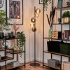 Remaisnil Floor Lamp - glass 12 cm, 15 cm black, 5-light sources