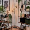 Remaisnil Floor Lamp - glass 12 cm, 15 cm black, 5-light sources