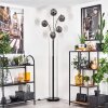 Ripoll Floor Lamp - glass 15 cm Smoke-coloured, 5-light sources