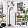 Ripoll Floor Lamp - glass 15 cm Smoke-coloured, 5-light sources