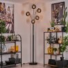 Ripoll Floor Lamp - glass 15 cm Smoke-coloured, 5-light sources