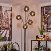 Ripoll Floor Lamp - glass 15 cm Smoke-coloured, 5-light sources