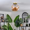 Ripoll Ceiling Light - glass 25 cm gold, black, 1-light source