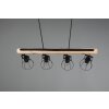 Reality JAIPUR Pendant Light black, 4-light sources