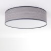 Chazy Ceiling Light white, 2-light sources