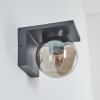 Aquin Outdoor Wall Light anthracite, 1-light source
