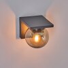 Aquin Outdoor Wall Light anthracite, 1-light source
