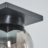 Aquin Outdoor Wall Light anthracite, 1-light source