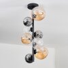 Chehalis Ceiling Light - glass 10 cm, 12 cm, 15cm Amber, clear, Smoke-coloured, 8-light sources