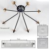Chehalis Ceiling Light - glass 12 cm, 15 cm gold, black, 8-light sources