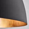 Baloutas Pendant Light black, 1-light source
