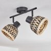 Barayn Ceiling Light black, 2-light sources