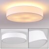 Skelbaek Ceiling Light matt nickel, 5-light sources
