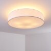 Skelbaek Ceiling Light matt nickel, 5-light sources