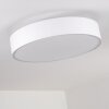 Skelbaek Ceiling Light matt nickel, 5-light sources