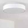 Skelbaek Ceiling Light matt nickel, 5-light sources