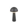 Reality FUNGO Table lamp LED anthracite, 1-light source