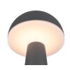 Reality FUNGO Table lamp LED anthracite, 1-light source
