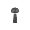 Reality FUNGO Table lamp LED anthracite, 1-light source