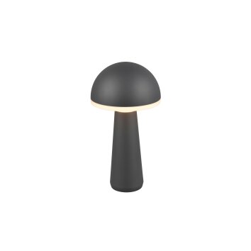 Reality FUNGO Table lamp LED anthracite, 1-light source