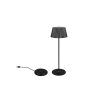 Reality SUAREZ Table lamp LED black, 1-light source