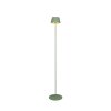 Reality SUAREZ Floor Lamp LED green, 1-light source