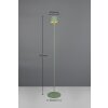 Reality SUAREZ Floor Lamp LED green, 1-light source