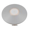 Reality TORREZ Table lamp LED grey, 1-light source